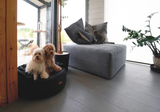 Дубль Дом в стиле Сканди