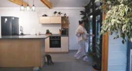 Дубль Дом в стиле Сканди