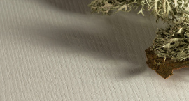 Перехвалили: почему покупатели отказываются от кварц винила в пользу доски