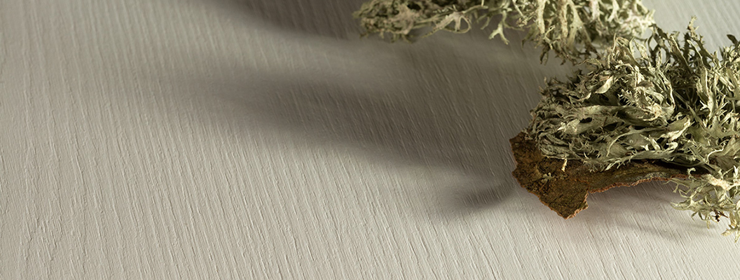 паркетная доска в интерьере дизайн коллекции тревэл